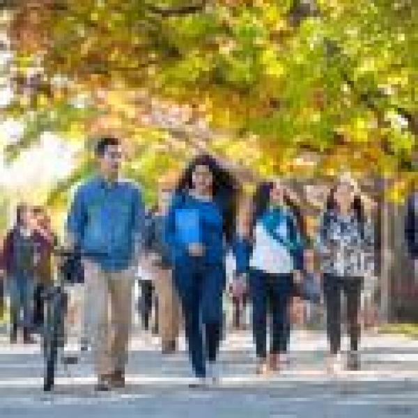 Build your network and connections with like-minded students, staff, and faculty