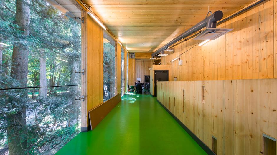The hallway of a building under construction with light wood walls
