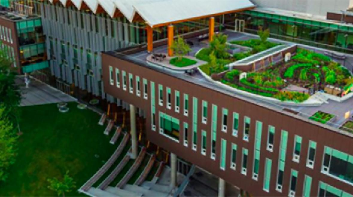 Building with green roof at UBC